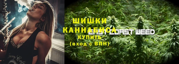 сатива Переславль-Залесский