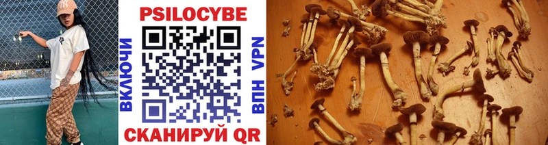 Галлюциногенные грибы MAGIC MUSHROOMS  купить  цена  Алзамай 