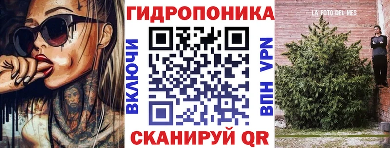 KRAKEN ТОР купить наркотик Алзамай Шишки марихуана сатива
